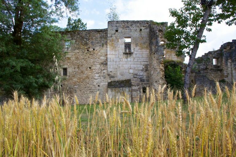 Abbaye de Boschaud_5