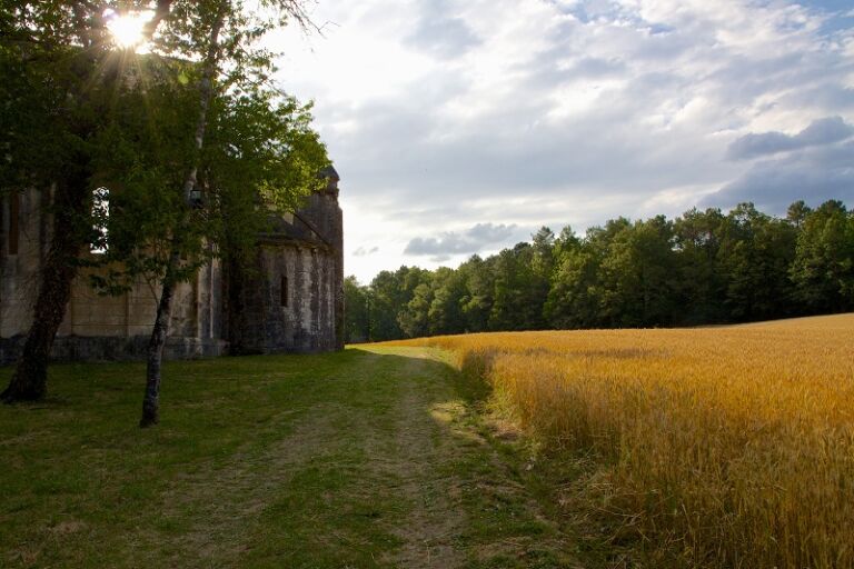 Boschaud1F.TessierOTPDB