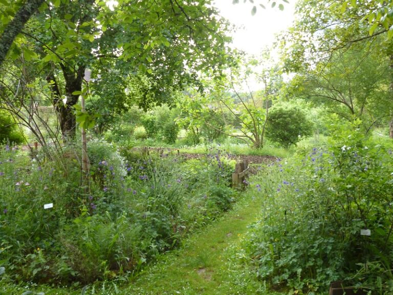 Jardin botanique d'ALAIJE