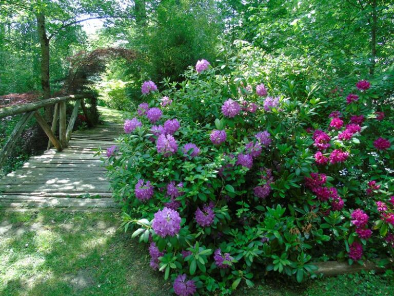 jardins tranquilles5